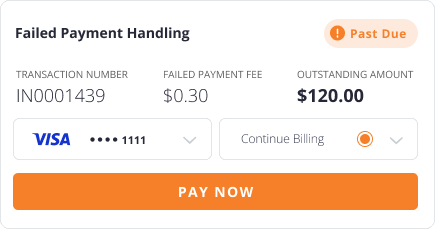 Ezypay Website_UI Platform Features Failed Payment Handling