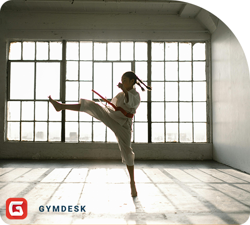 martial arts student high kick gymdesk