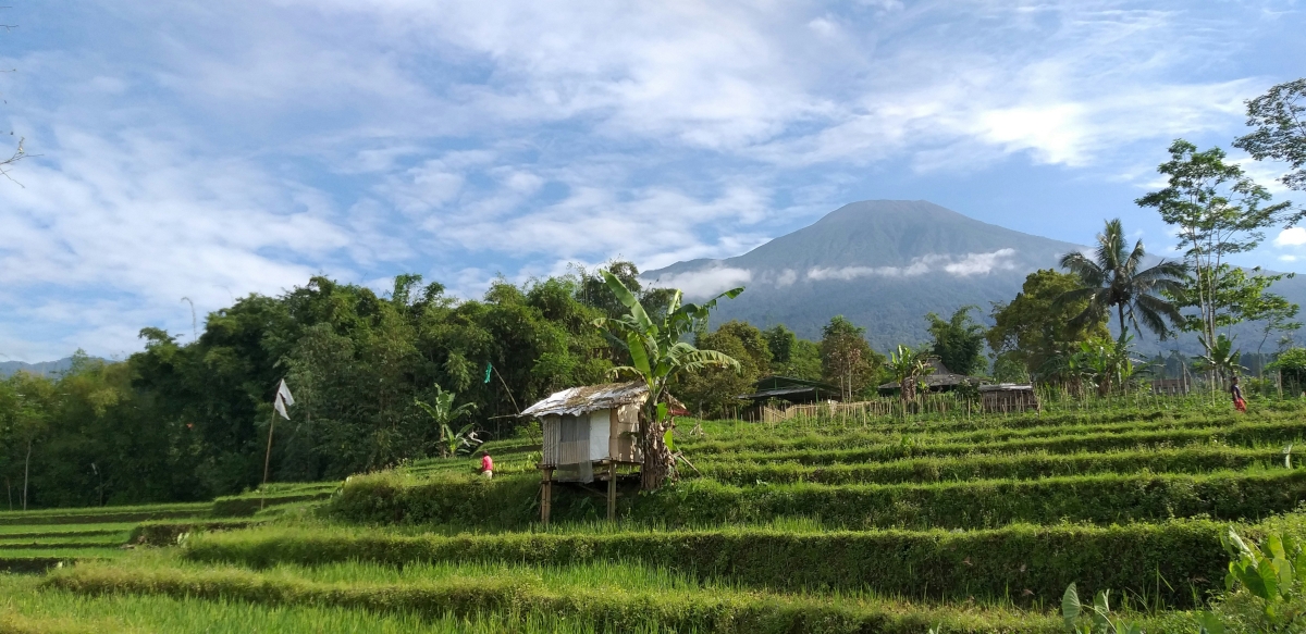 Country side of Indonesia